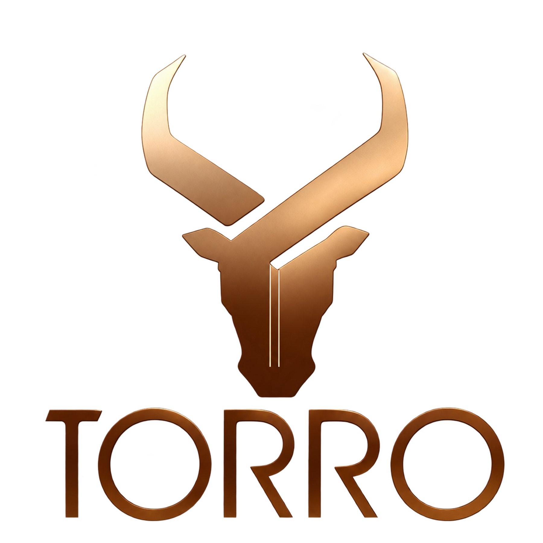 Torro Leather