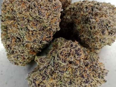 London Marker cannabis strain at Labs Cannabis Pattaya