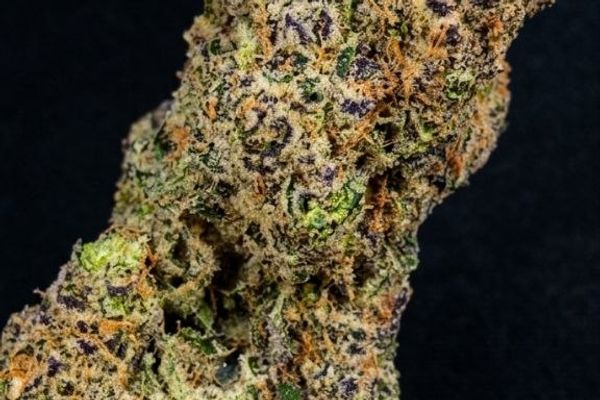 White Widow — Expert Pick at Labs Cannabis Pattaya