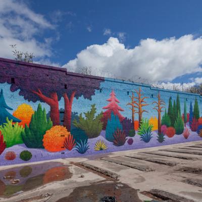 157 Days of Sunshine (2013)