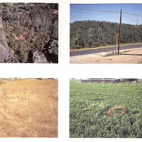 California Map Project