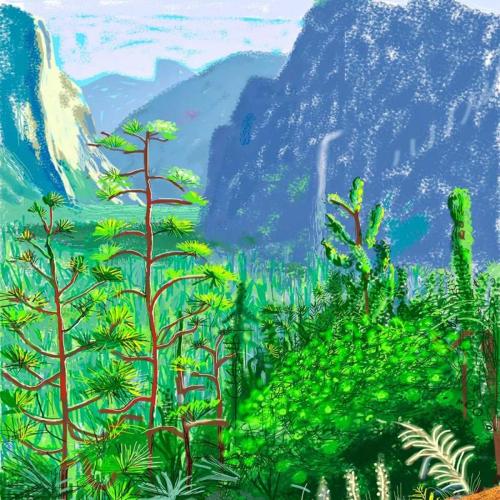 iPad Drawings