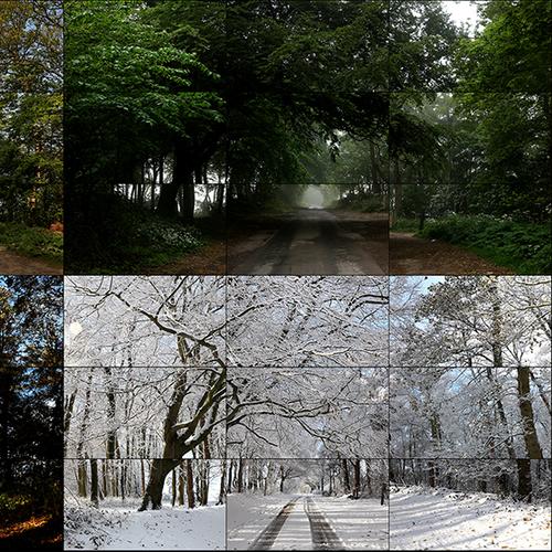 The Four Seasons