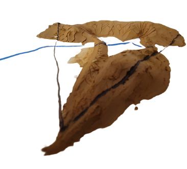 Mapping Territory — image 2