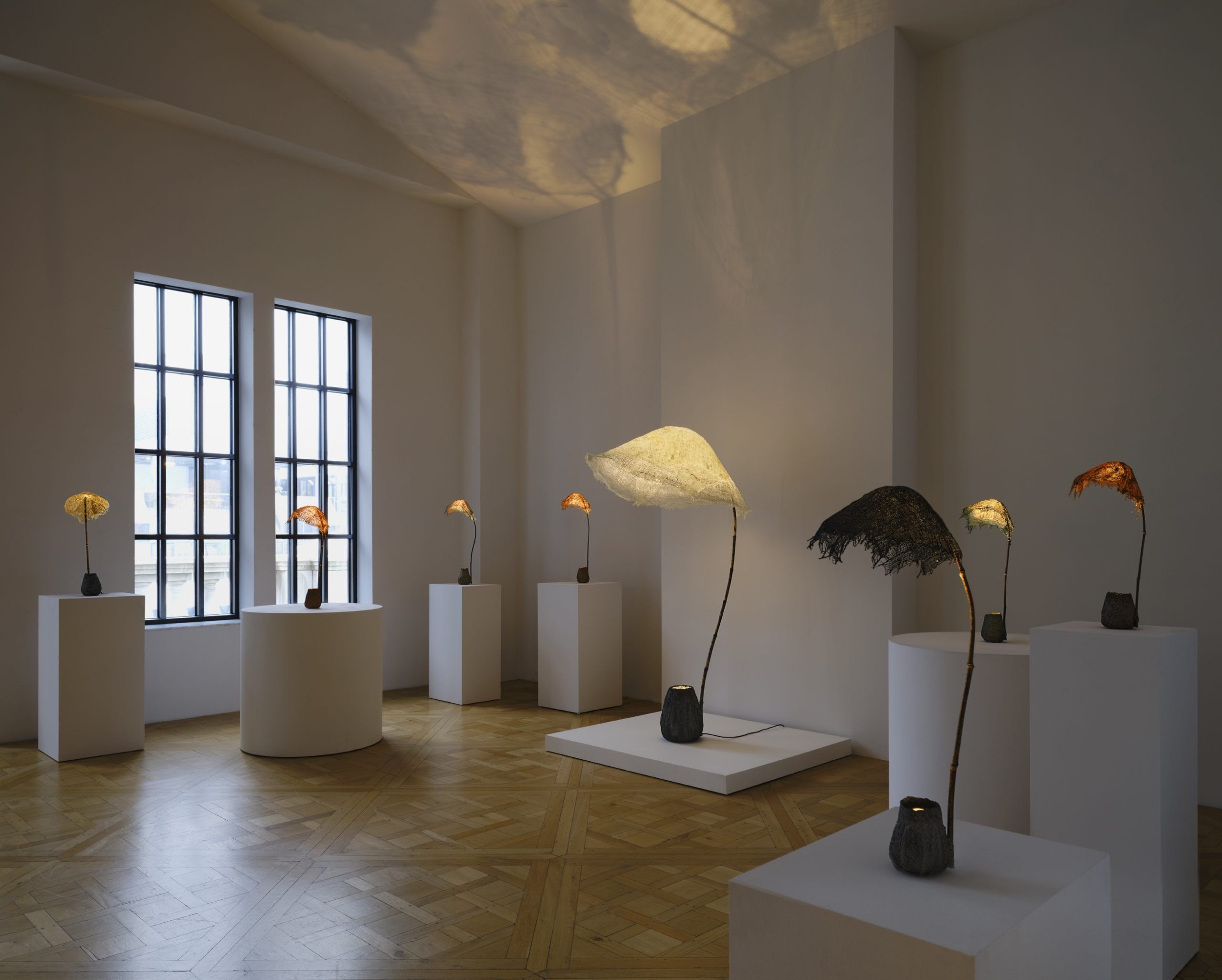 Aki+Arnaud Cooren | Under the Reef | Carpenters Workshop Gallery