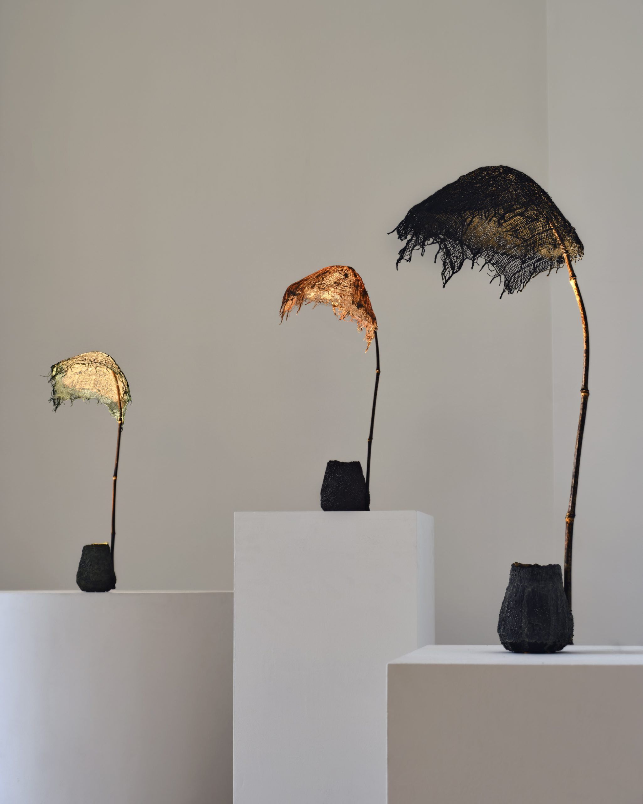 Aki+Arnaud Cooren | Under the Reef | Carpenters Workshop Gallery