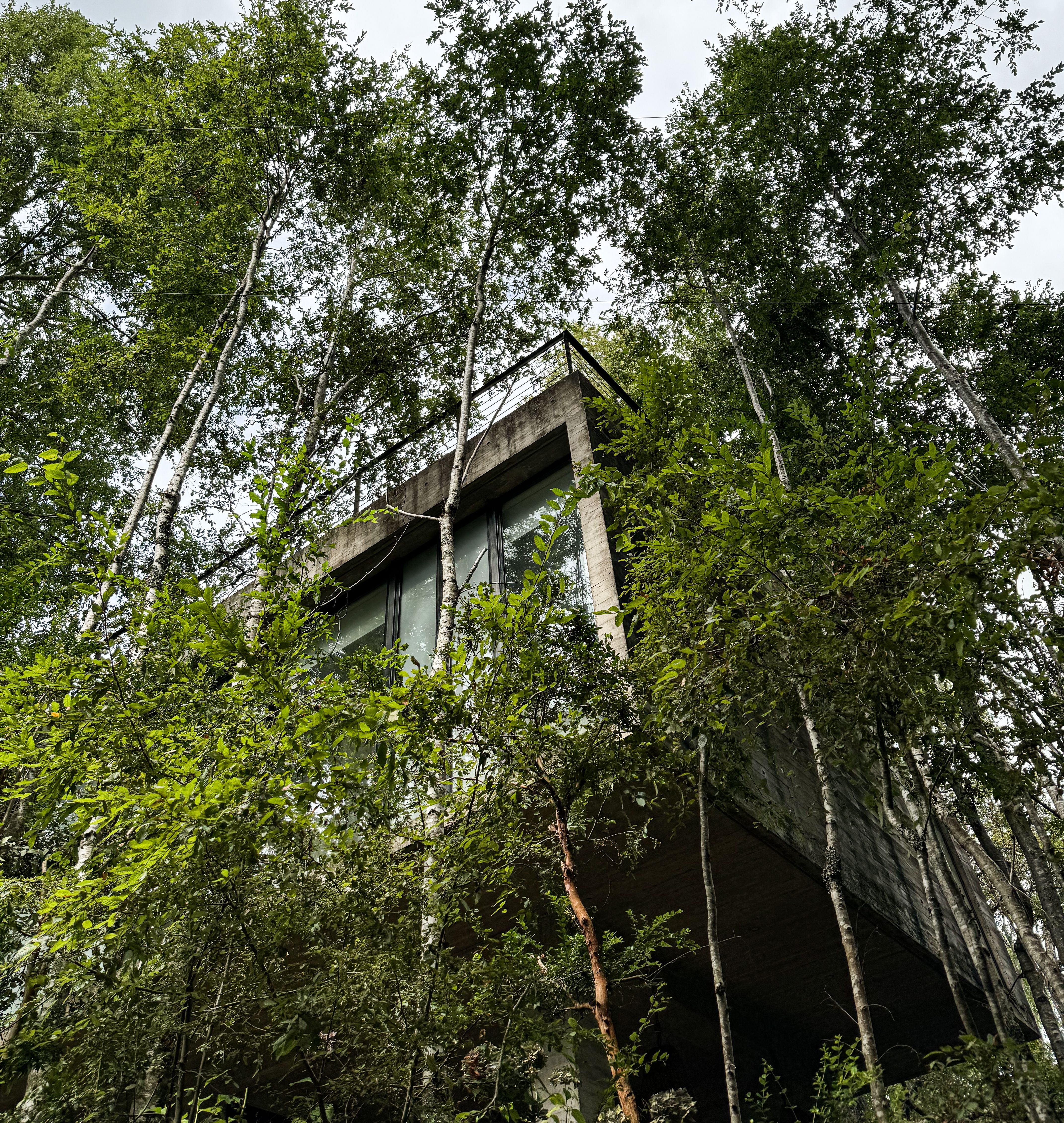 Casa Calafquén | Arquitectura residencial · Román y Basualto Arquitectos — imagen 8