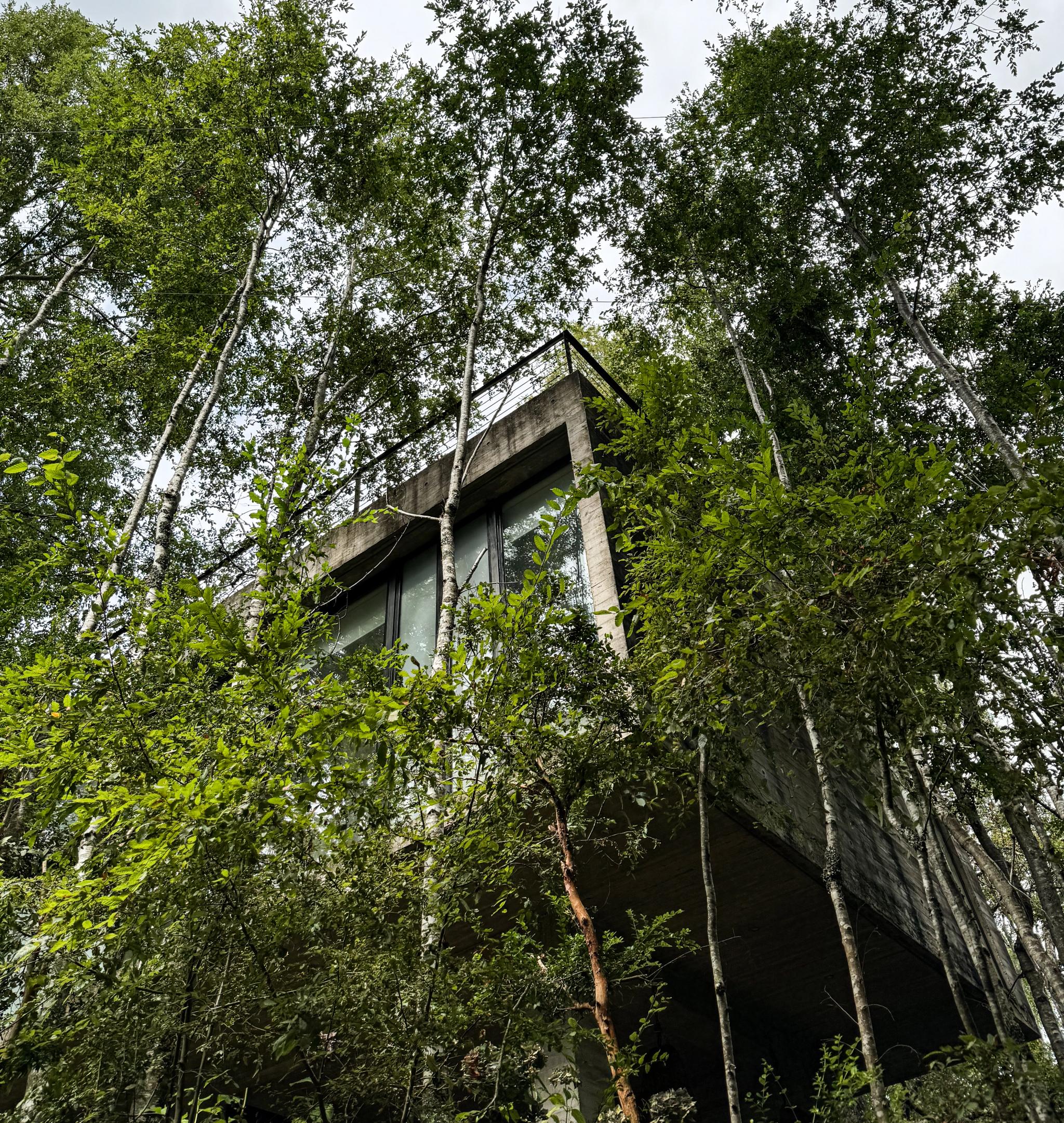 Casa Calafquén | Arquitectura residencial · Román y Basualto Arquitectos — imagen 8