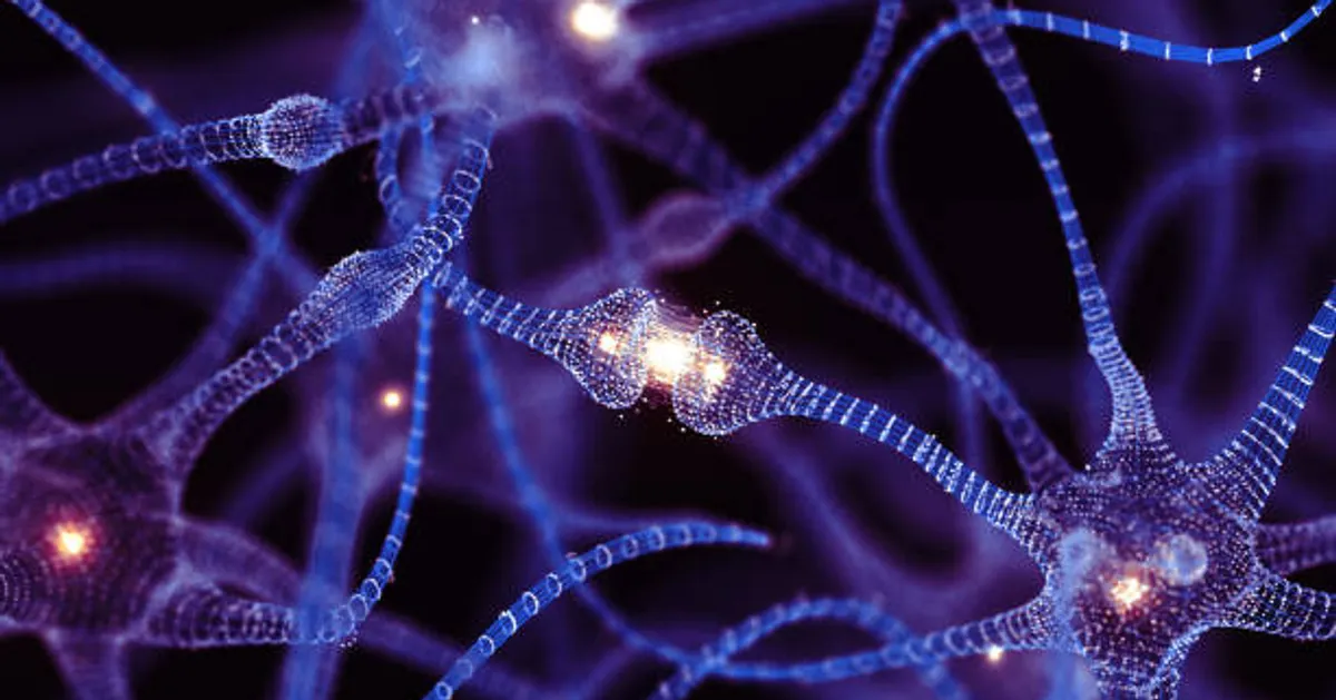 What to Know About Brain Health: Managing Headaches, Forgetfulness, and More