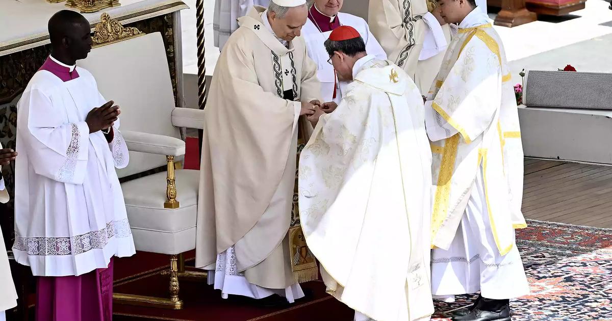Pope Leo XIV Calls for Unity and Missionary Spirit in Inaugural Mass at the Vatican