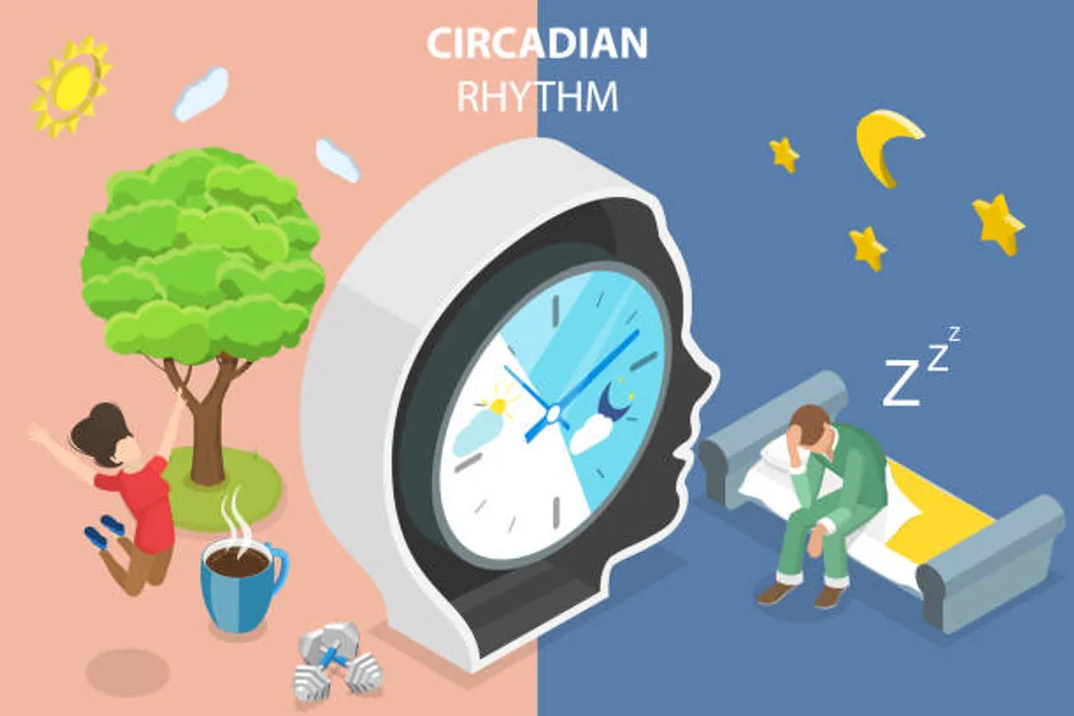 Circadian Rhythm Hacks: Syncing Your Day for Better Sleep & Energy