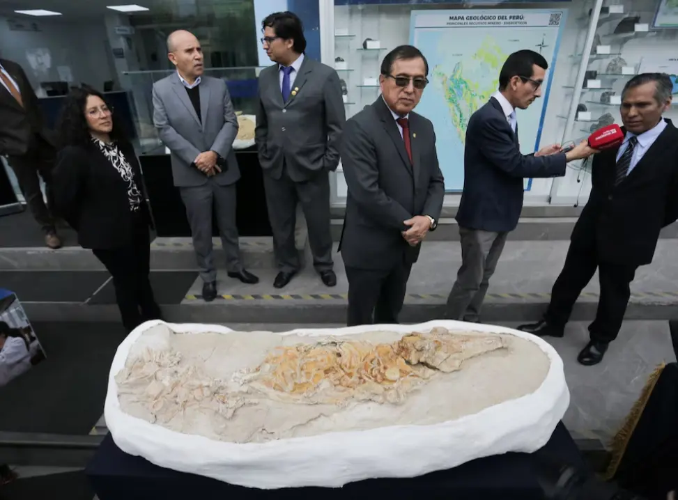 Scientists in Peru Discover 10-Million-Year-Old Dolphin-Like Fossil in Desert