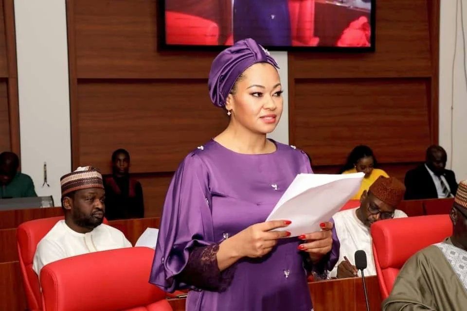 Six-month suspension: Natasha heads for court as NBA, others knock Senate