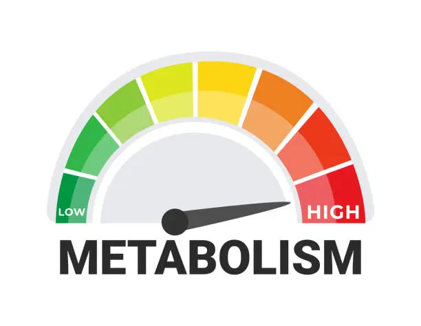 How to Boost Metabolism for Faster Weight Loss