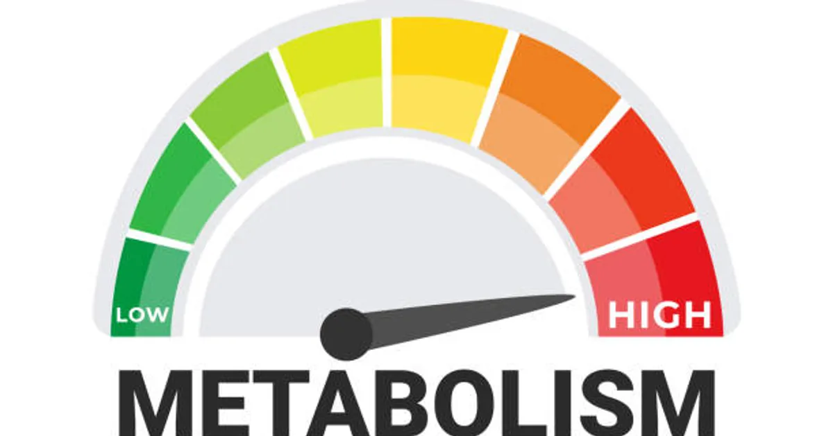 How to Boost Metabolism for Faster Weight Loss