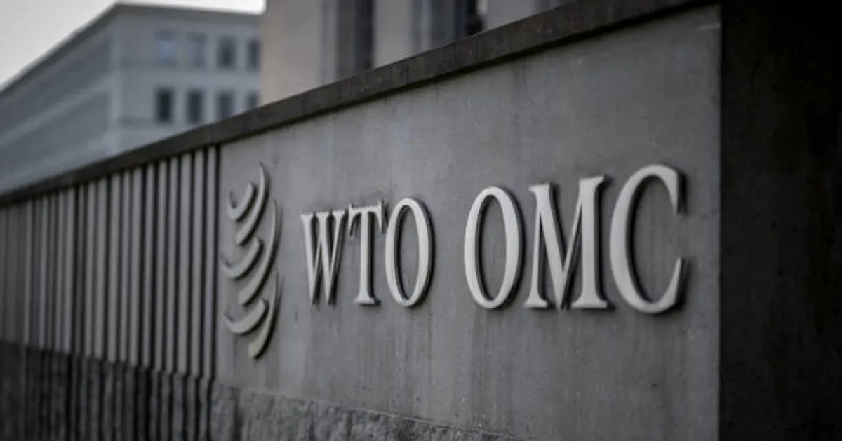 WTO E-Commerce Moratorium Faces Key Decision at Cameroon Conference
