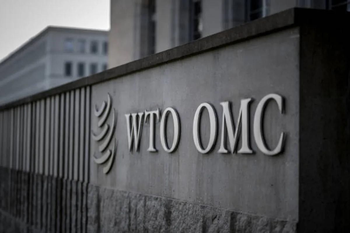 WTO E-Commerce Moratorium Faces Key Decision at Cameroon Conference
