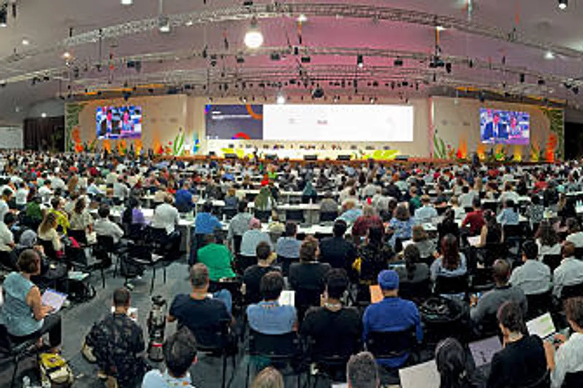 US Companies Hold Firm on Climate Commitments Despite Trump’s Return