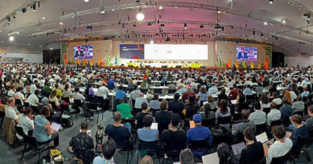 US Companies Hold Firm on Climate Commitments Despite Trump’s Return