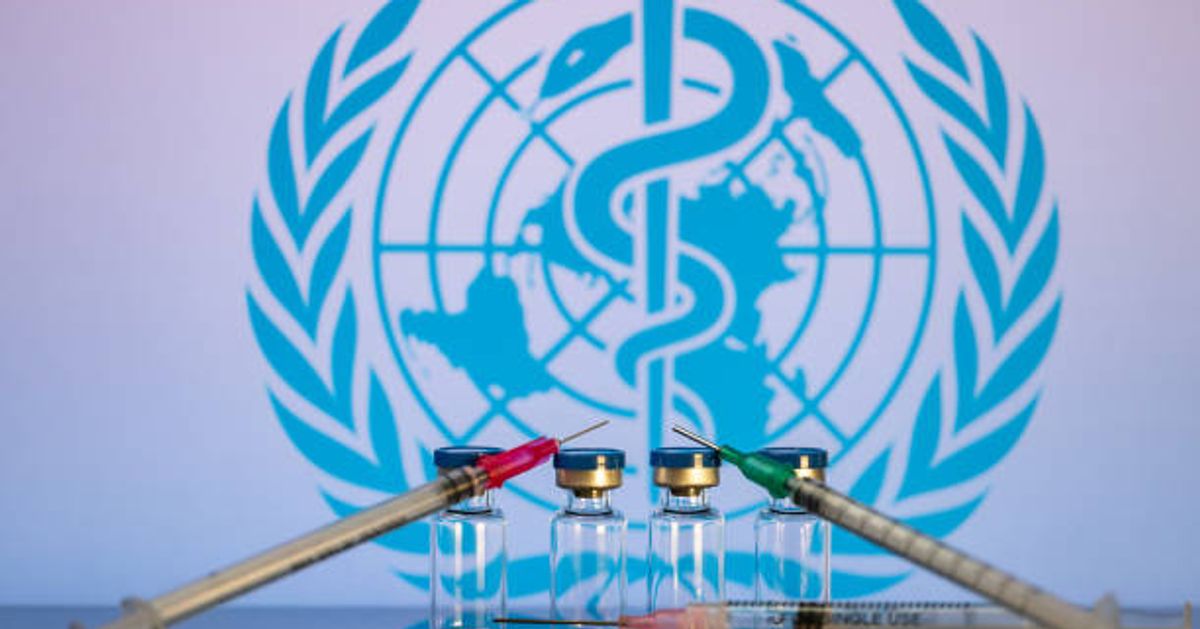 WHO Reports 11 New Ebola Cases in Democratic Republic of Congo