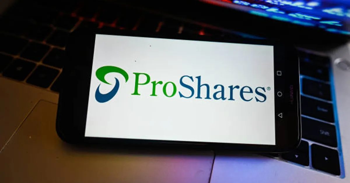ProShares Drops Plans for Some Highly Leveraged ETFs After U.S. Regulator Moves to Halt Review