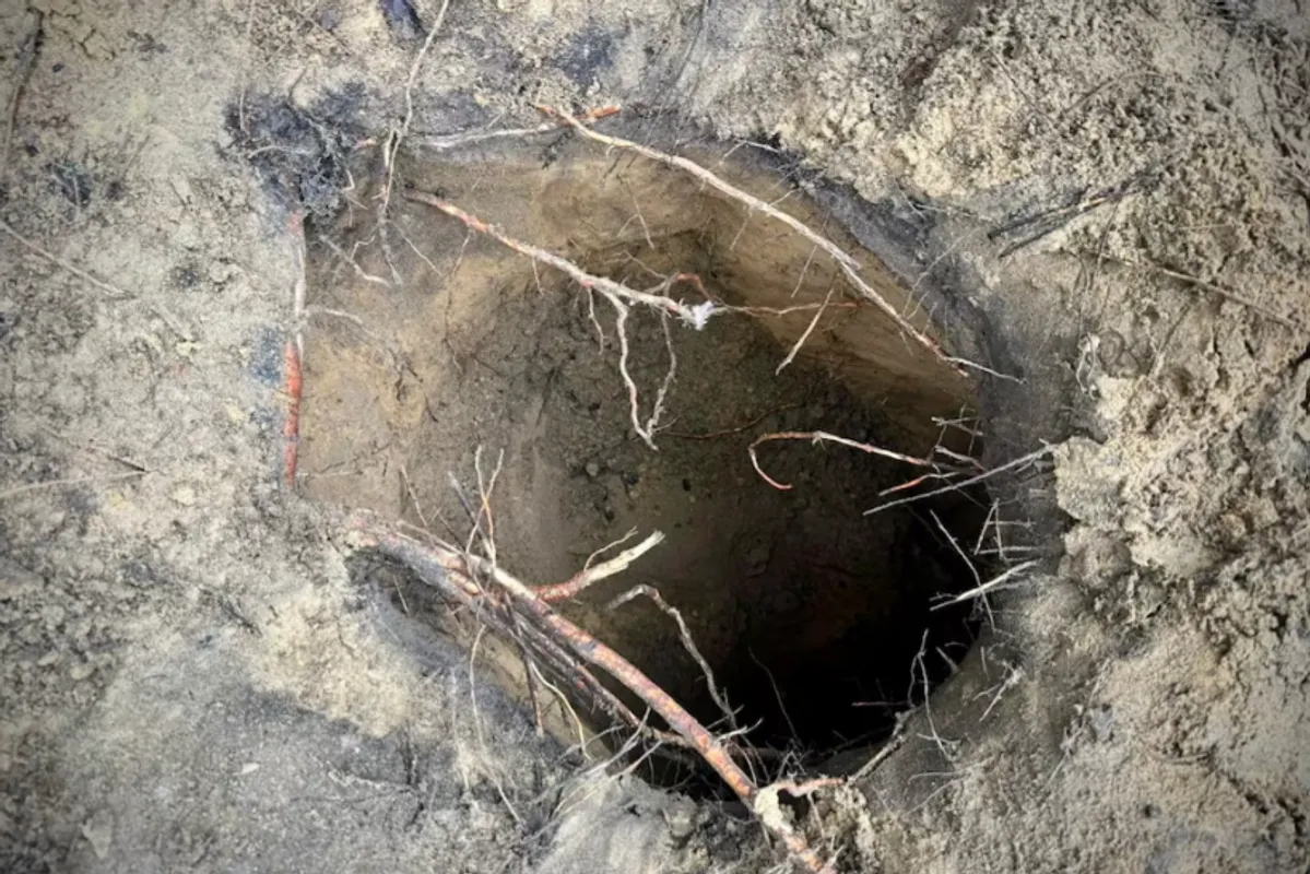 Dozens of Migrants Use Hidden Tunnel to Cross from Belarus Into Poland