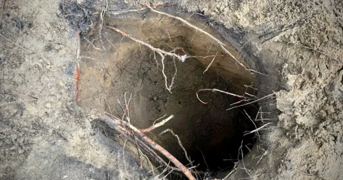 Dozens of Migrants Use Hidden Tunnel to Cross from Belarus Into Poland