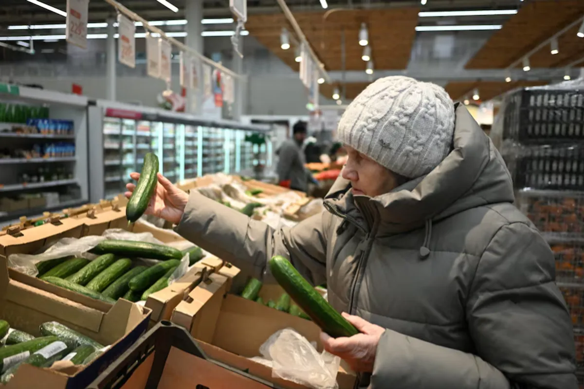 “Golden Cucumbers”: Russia Faces Surging Prices for Popular Winter Staple