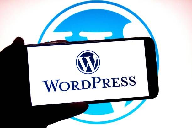 WordPress Coding Standards 3.2: Essential Updates for Modern Web Developers