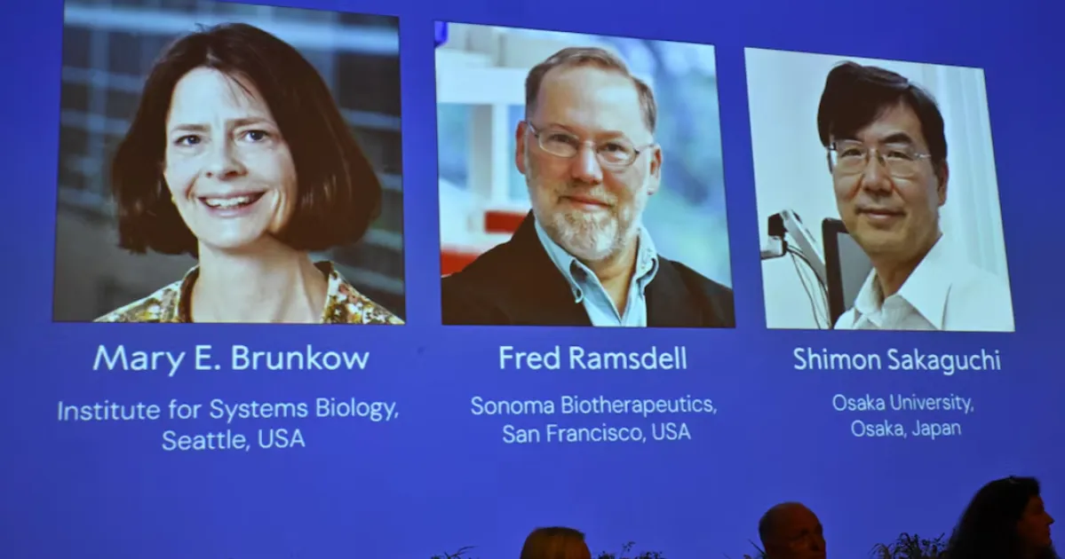 Brunkow, Ramsdell, Sakaguchi Win 2025 Nobel Prize in Medicine for Immune System Discovery