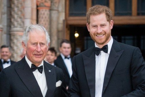 Sussexes Frustrated After Leak of “Peace Summit” with King’s Aide