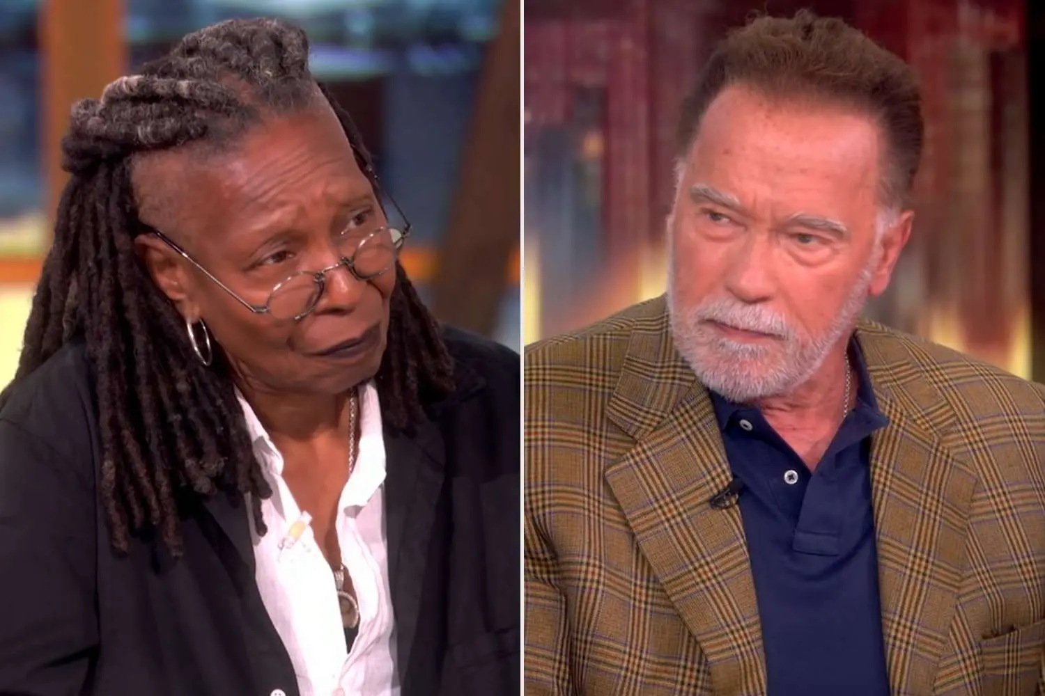 Schwarzenegger Says Immigrants in U.S. Should “Behave Like a Guest”
