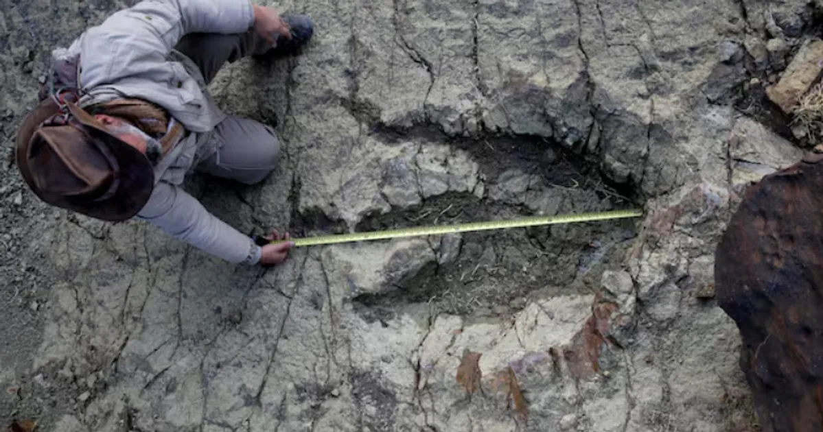 New AI Tool Helps Scientists Identify Which Dinosaurs Made Ancient Footprints