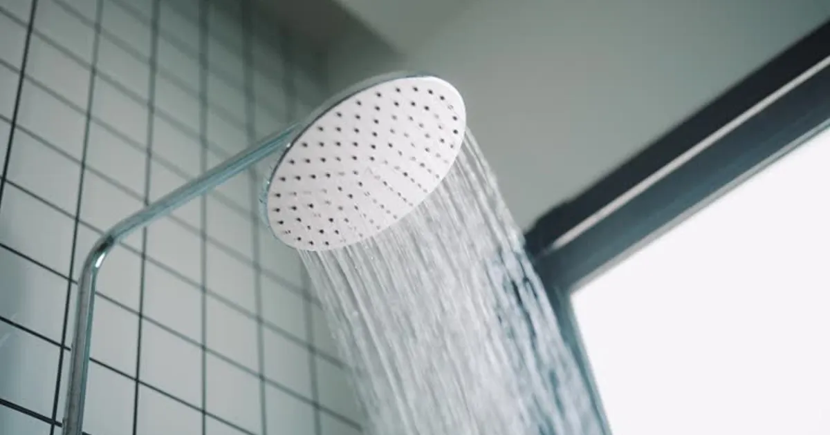 The Truth About Cold Showers and Sauna Therapy: Can They Really Help You Live Longer?