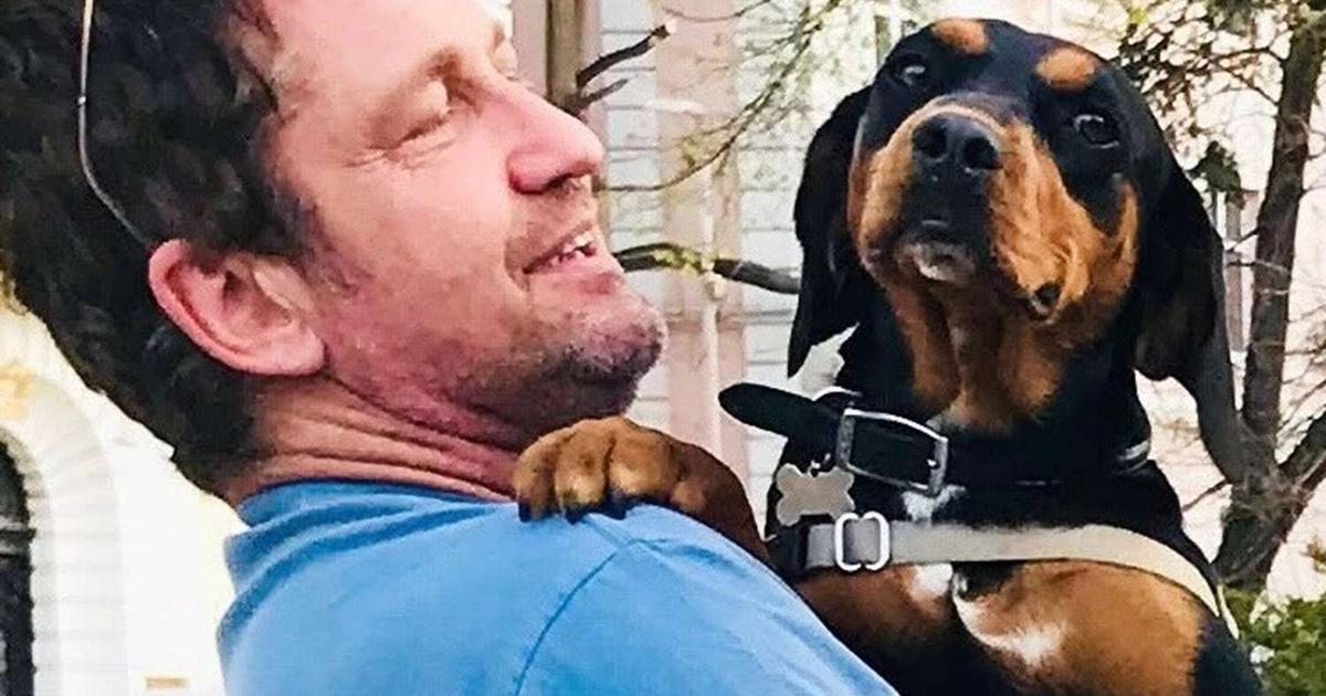 Gerard Butler Adopts Stray Dog in Bulgaria While Filming Dragon