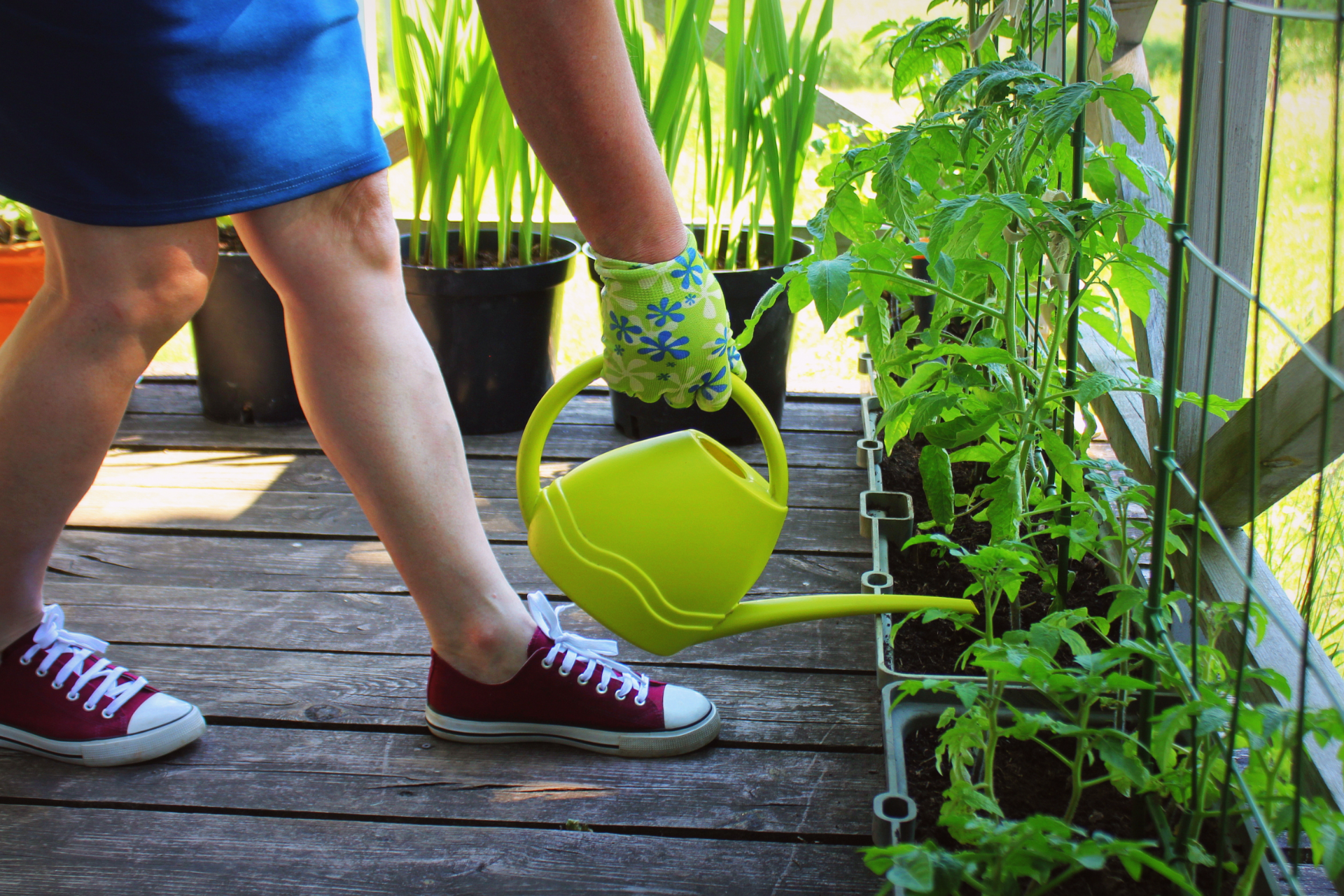 Container Gardening for Vegetables: Tips for a Productive Harvest