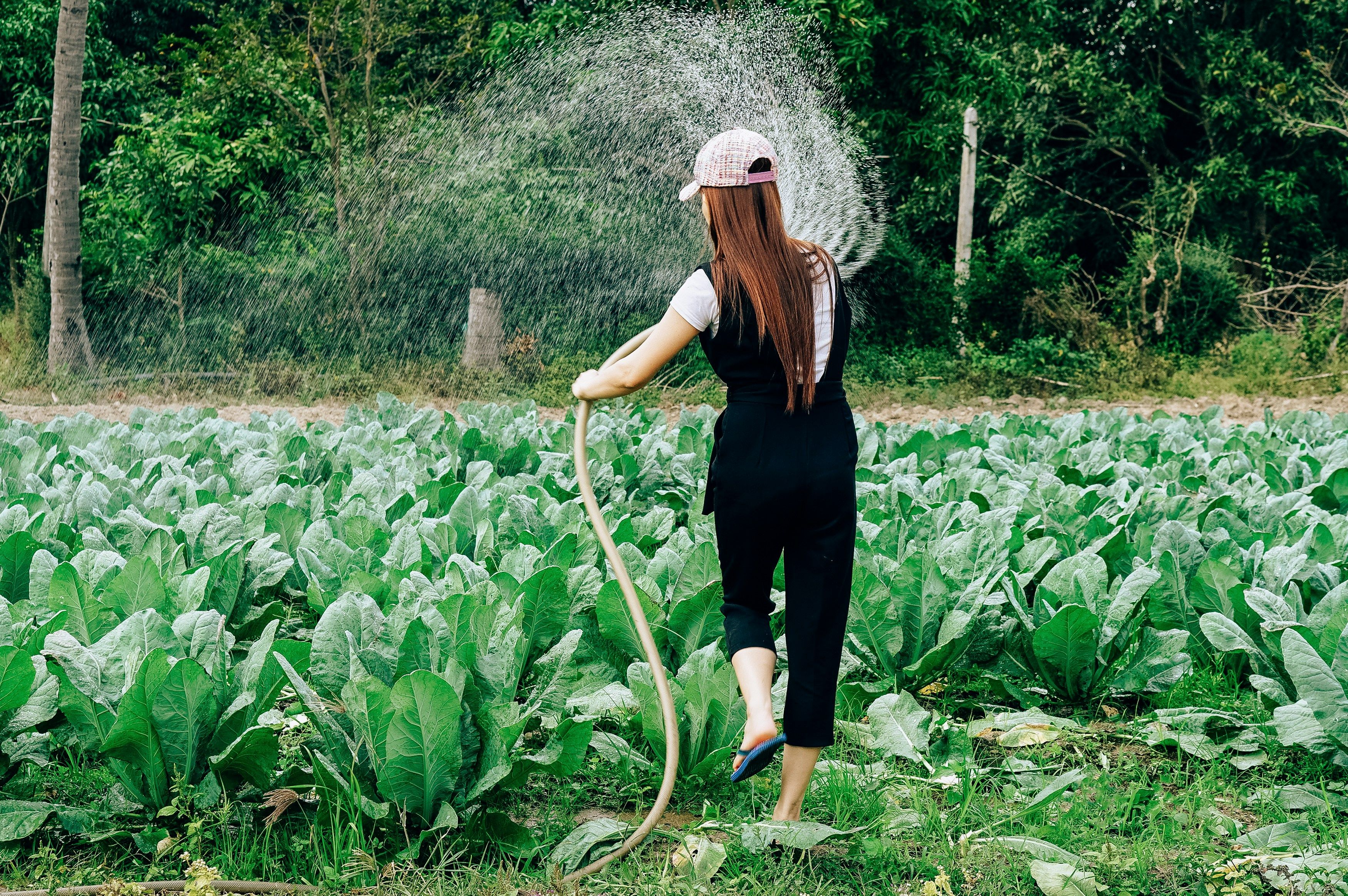 Comprehensive Gardening Solution: Transform Your Gardening with GreenThumb