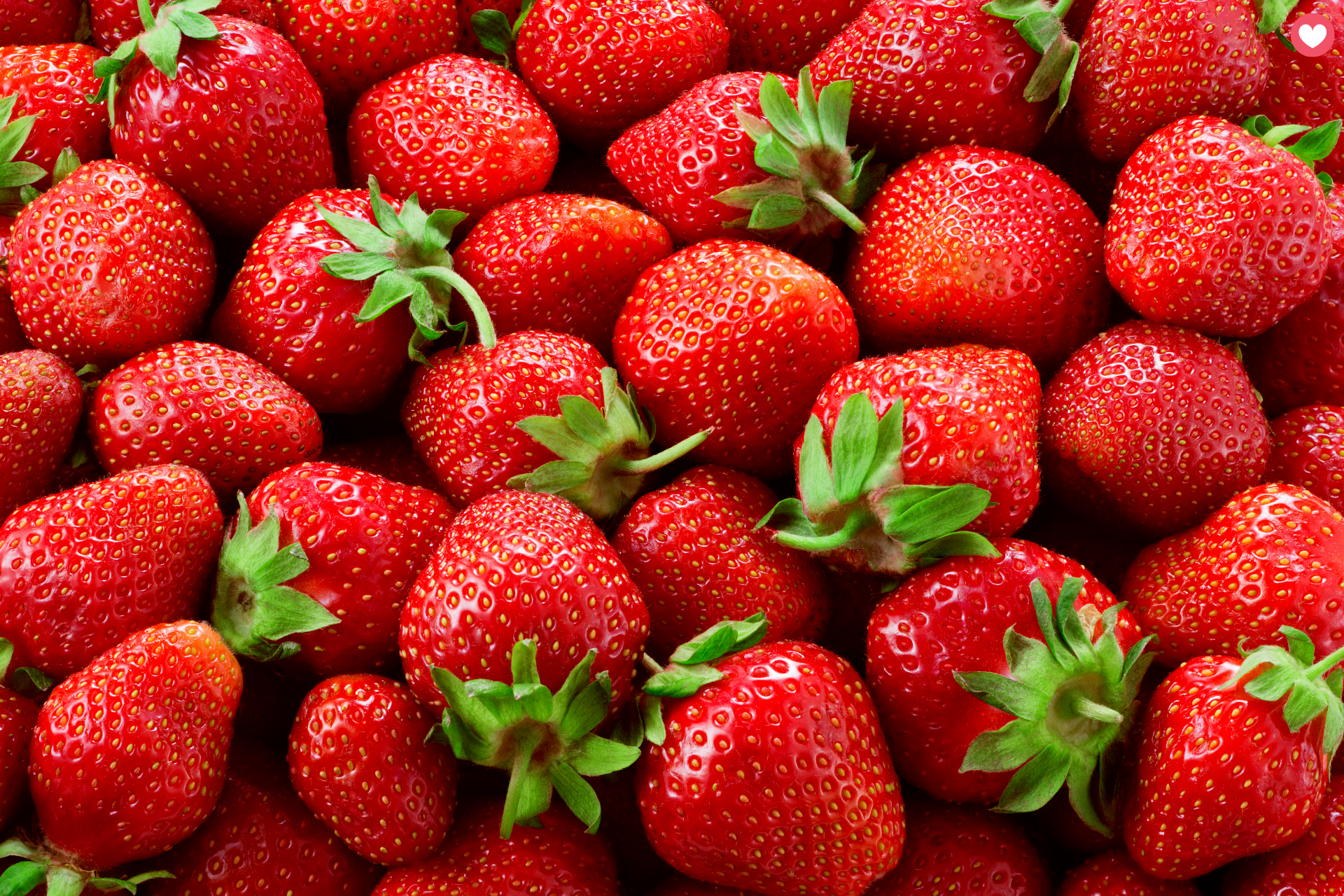 growing-strawberries-in-your-backyard-blog-cover