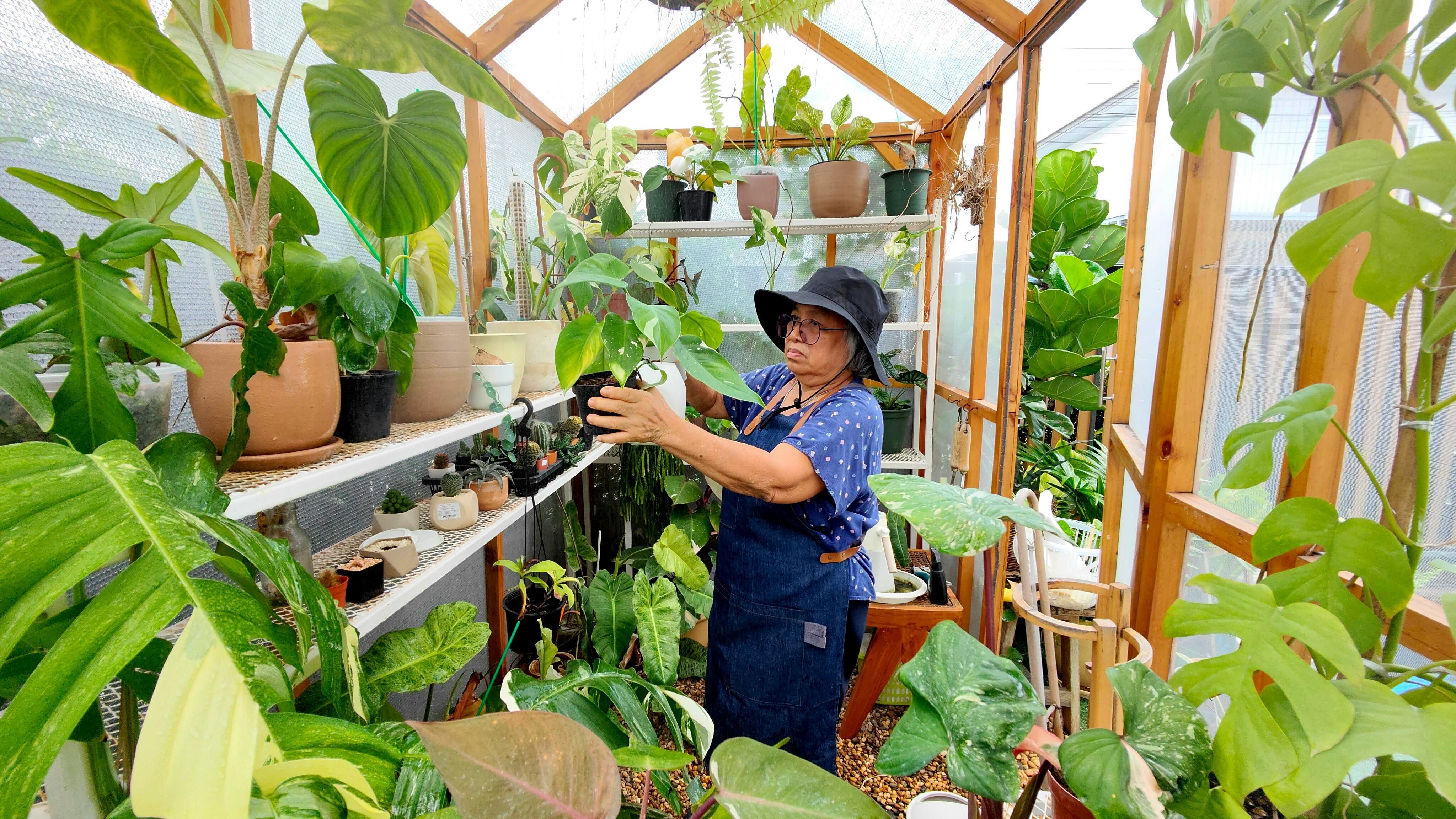 Advanced Sensor Technology: Revolutionizing Gardening with GreenThumb
