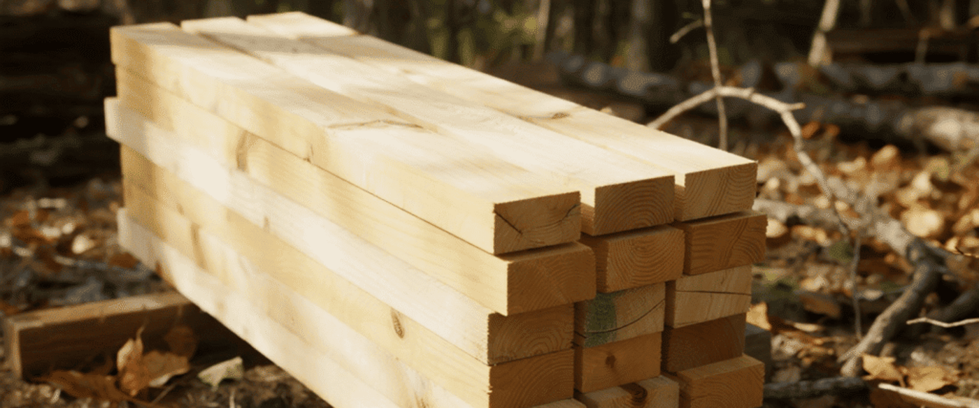 Stacked fresh-cut lumber planks on forest floor surrounded by autumn leaves and scattered branches, ready for building.