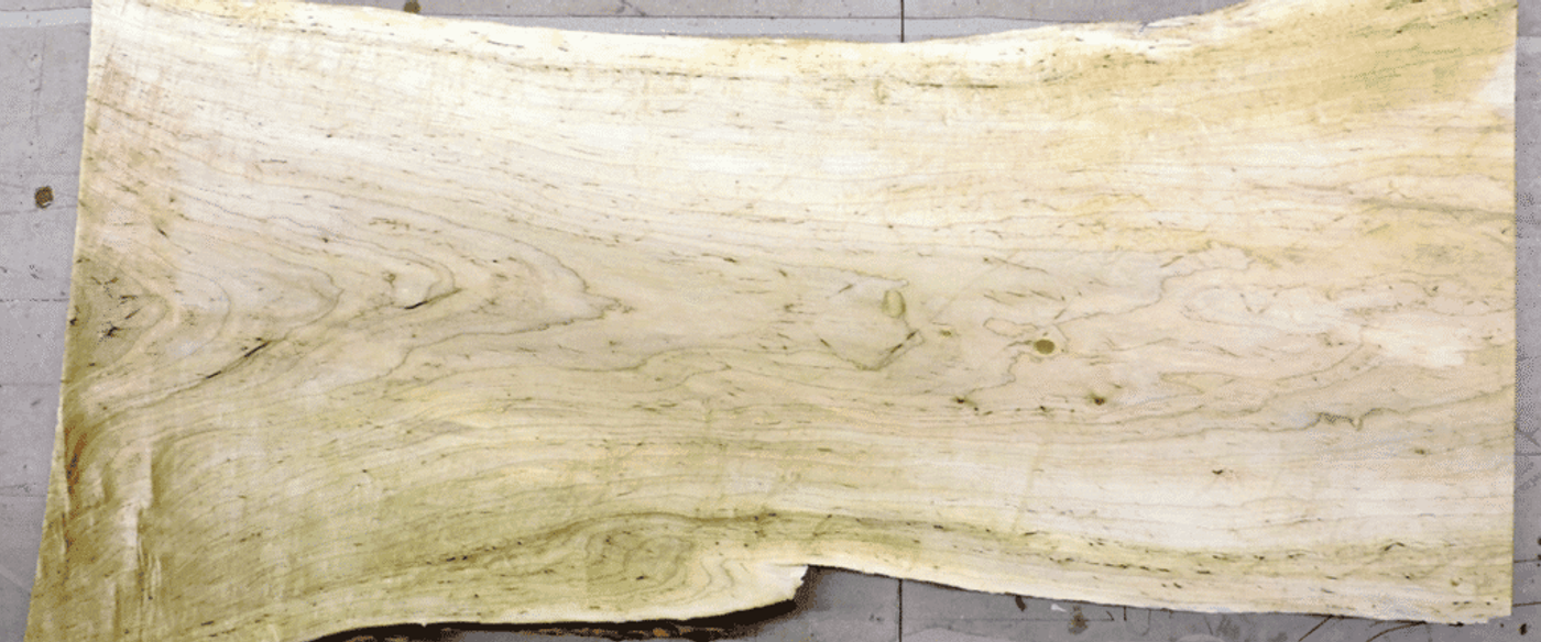 Light-colored live-edge wood slab with visible grain patterns and subtle knots, photographed flat on a workshop floor.