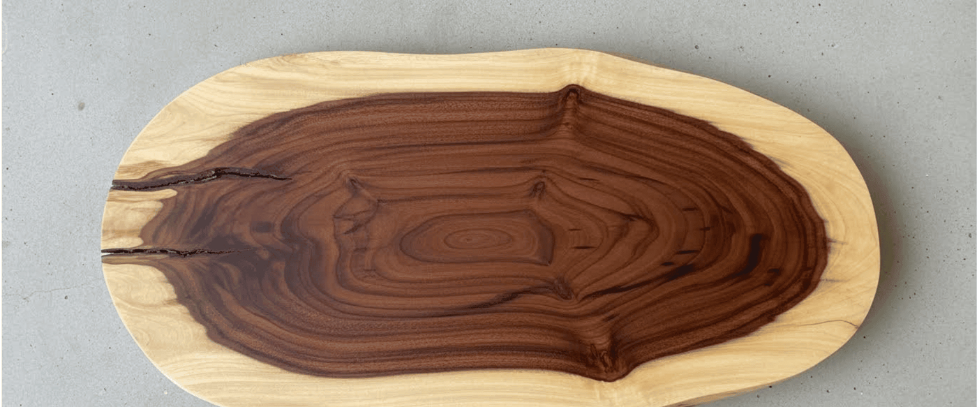 The Sapwood Heartwood Ratio in Guanacaste Slabs image