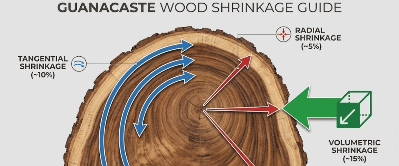 Movement Rates: How Much Does Guanacaste Really Shift? image