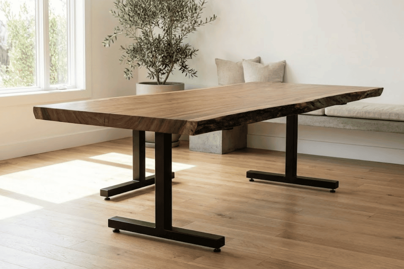 Live-edge walnut dining table with black metal legs in a bright room, hardwood floor, potted olive tree and bench seating