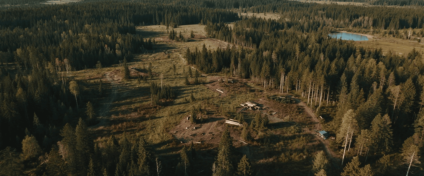 Sustainable Forestry: What It Is, How It Works, and Why It Matters image