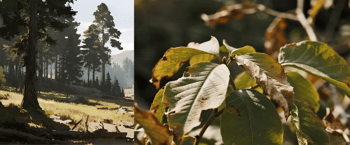 The Impact of Climate Change on Wood Quality image