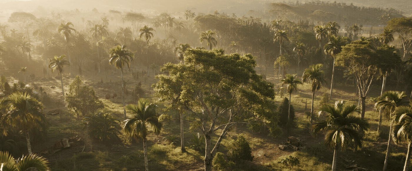 The Natural UV Resistance of Guanacaste: Science Behind the Beauty image
