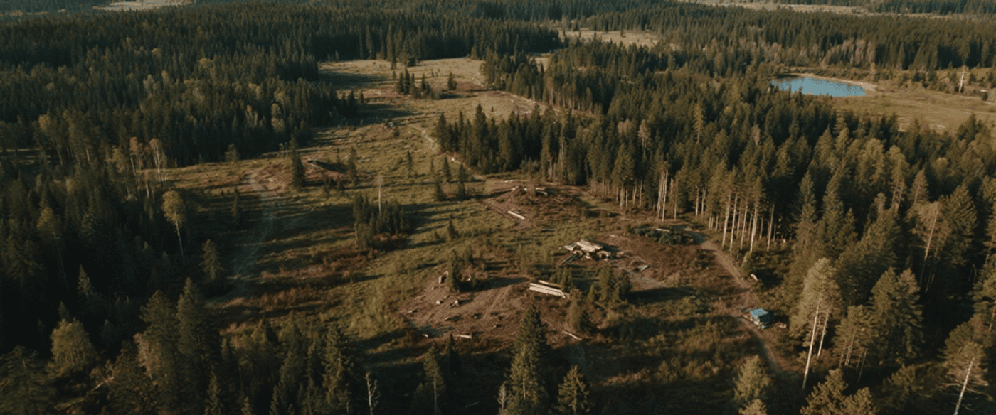 Aerial view of a forest with selective logging clearings, stacked timber, dirt roads, and a small pond in the background