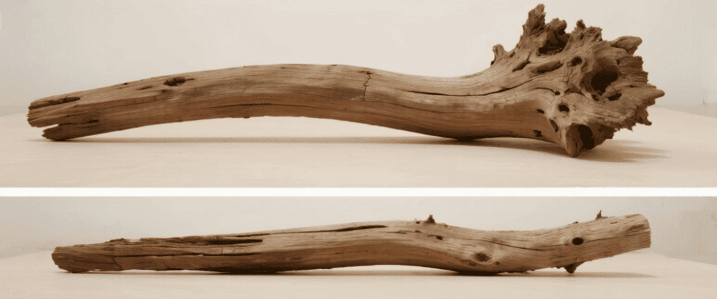 Long piece of weathered driftwood photographed from three side views, showing knotted, cracked texture and natural hollows.