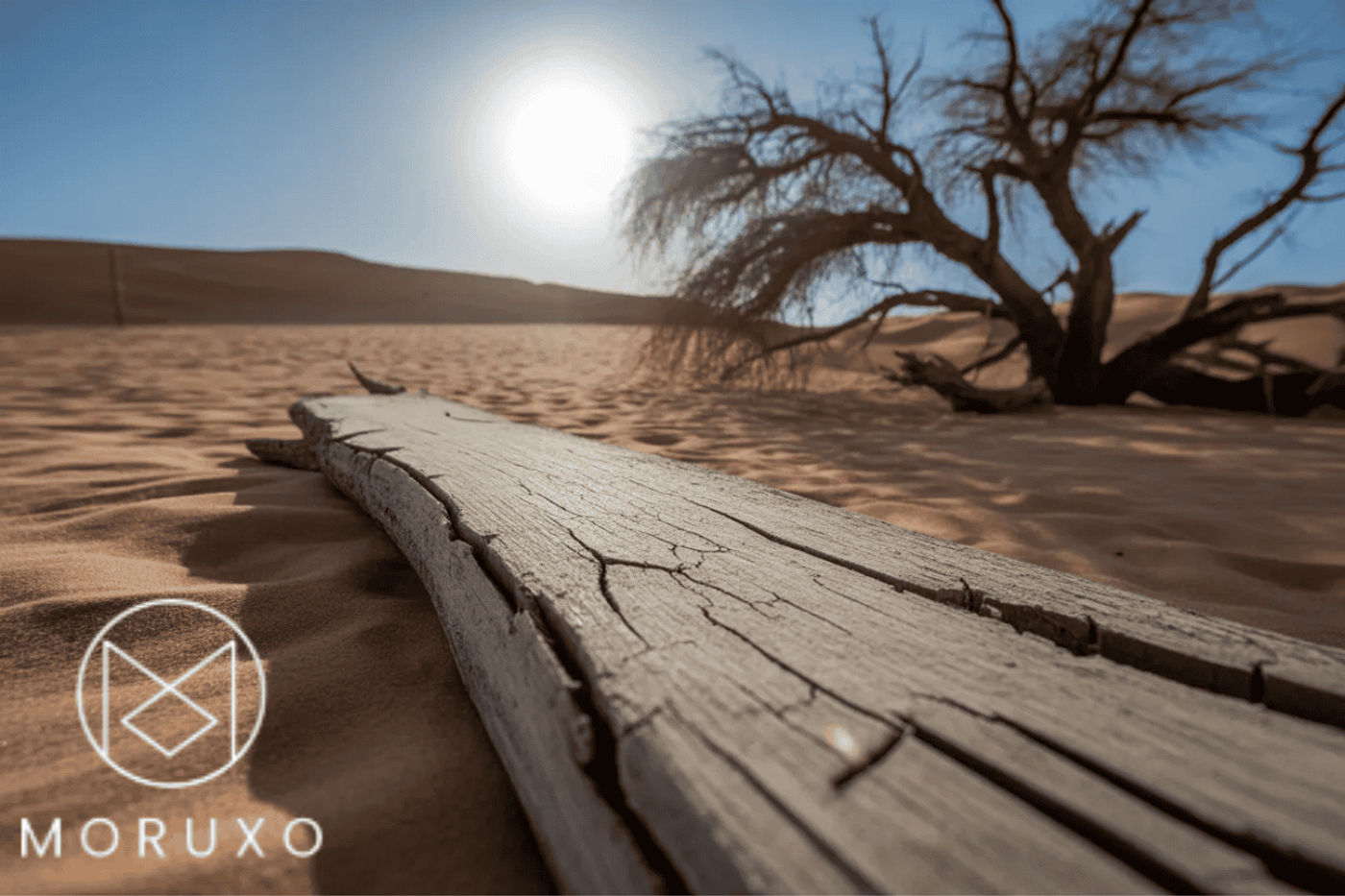 Understanding wood movement in different climates image
